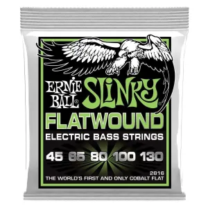 Ernie Ball 5 String Regular Slinky Flatwound 45-130 Electric Bass Strings